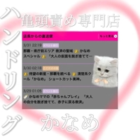 ただ癒す、だけじゃ足りないよ