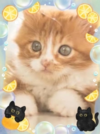 御予約ありがとうございます