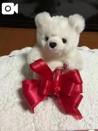 スターティングメンバー紹介