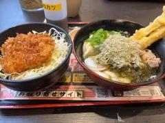 冬眠からの、、、