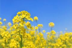 久しぶりの出勤🚘️