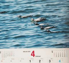 ４月スタート🎵