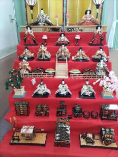 鹿児島ちゃんこ薩摩川内店　きなこ