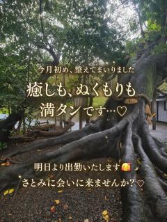 ベビードール　さとみ