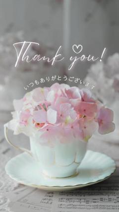 鹿児島ちゃんこ薩摩川内店(薩摩川内市) さつき