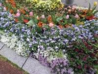 やっぱりいいですね