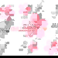 宮崎ちゃんこ中央通店 宮崎市デリヘル あゆみ 写メ日記「お久しぶりです^_^」