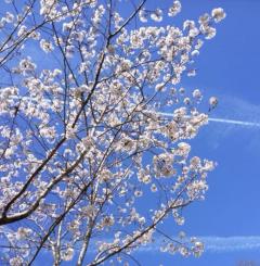 出会いの4月ですね💓