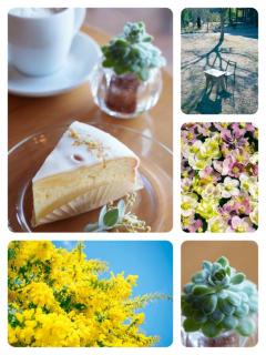 3月ありがとう&4月もよろしくお願いします