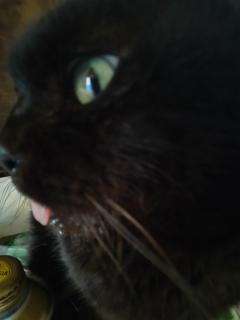 おはようございます‼️