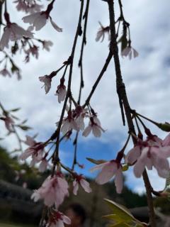 Heaven Club (ヘブンクラブ)　