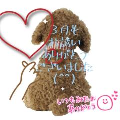 JaPON(デリヘル) 真子ﾏｺ