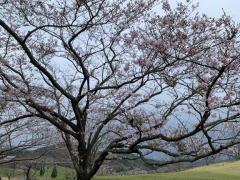  あいす☆感度抜群ドＭな甘えん坊☆