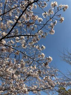 もう、最後かな。。