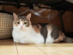 そろそろ本気で来る時間じゃない…？?