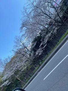  陽葵（ひまり）巨乳幼妻