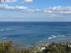 ぽちゃカワましゅまろ～GRINDグループ～ 体験ジュリ