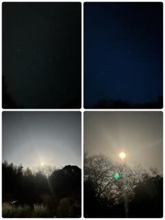 今日は満月🌕