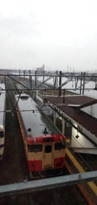 ん～初めて見たかも