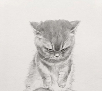 TheGrandPhoenix(大分市) 夏目※激カワ完全業界未経験