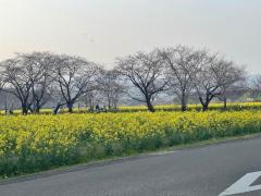 人妻ｒｅ：スタート 【体験】藤谷みお