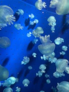 壊れる前？(´・ω・｀)