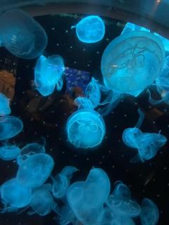 携帯の調子が悪いので?