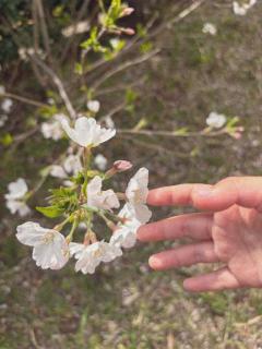 MANIN-ONREIマン淫御礼　