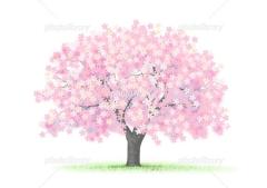 ぷにっ娘　真美/ﾏﾐ