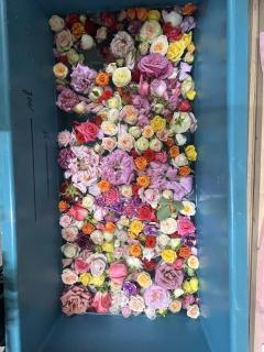 ご主人様いらっしゃい 大分店 神舌ゆい♡最強エロ女