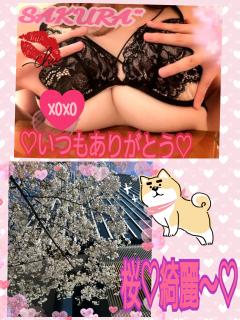 MICHELIN ミシュラン(沖縄市) サクラSakura