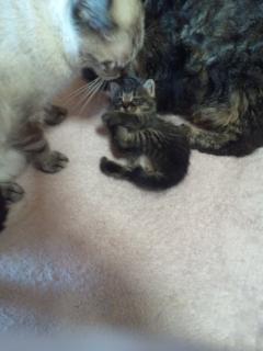 おはようございます😆