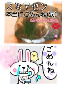 MICHELIN ミシュラン(沖縄市) サクラSakura