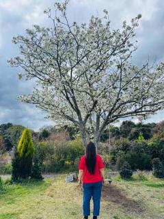 ぷにっ娘　元子ﾓﾄｺ