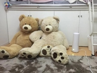 お得にHに遊ぼうよ