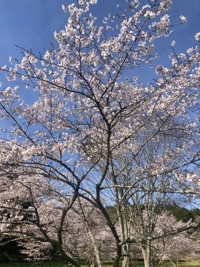 おはようございます