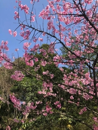 本日、出勤します