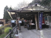 満開の便りですね～