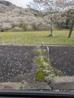 セクシーウィンディー　