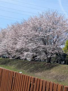 出勤します（美鈴）