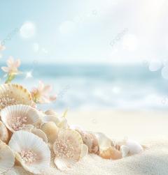 鶴富屋敷 宮崎市ソープ ひな(癒し系♡) 写メ日記「食品と衣料のお話し💕」