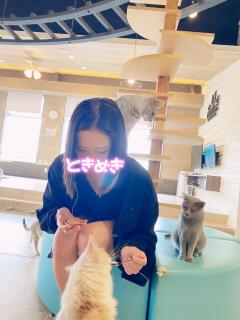 Relaxation spa with (リラクゼーションスパウィズ) すみれ～Sumire～