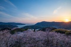 出勤しました☆