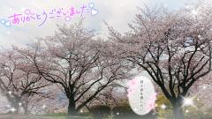 ベビードール　あやね