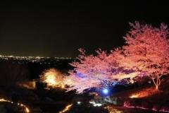 こんばんは〜🌌