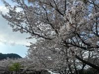 おはようございます