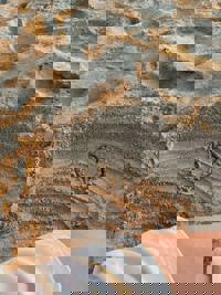 今週の出勤予定☆