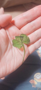 TheGrandPhoenix(大分市) みつ※ド変態嬢電撃復帰