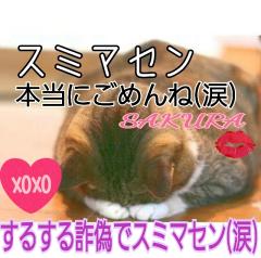 MICHELIN ミシュラン(沖縄市) サクラSakura