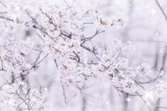 commit(別府市) みどり【五十路】